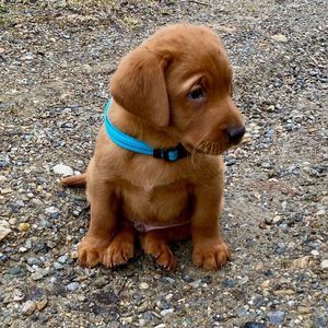 Meet your Posher, Jan